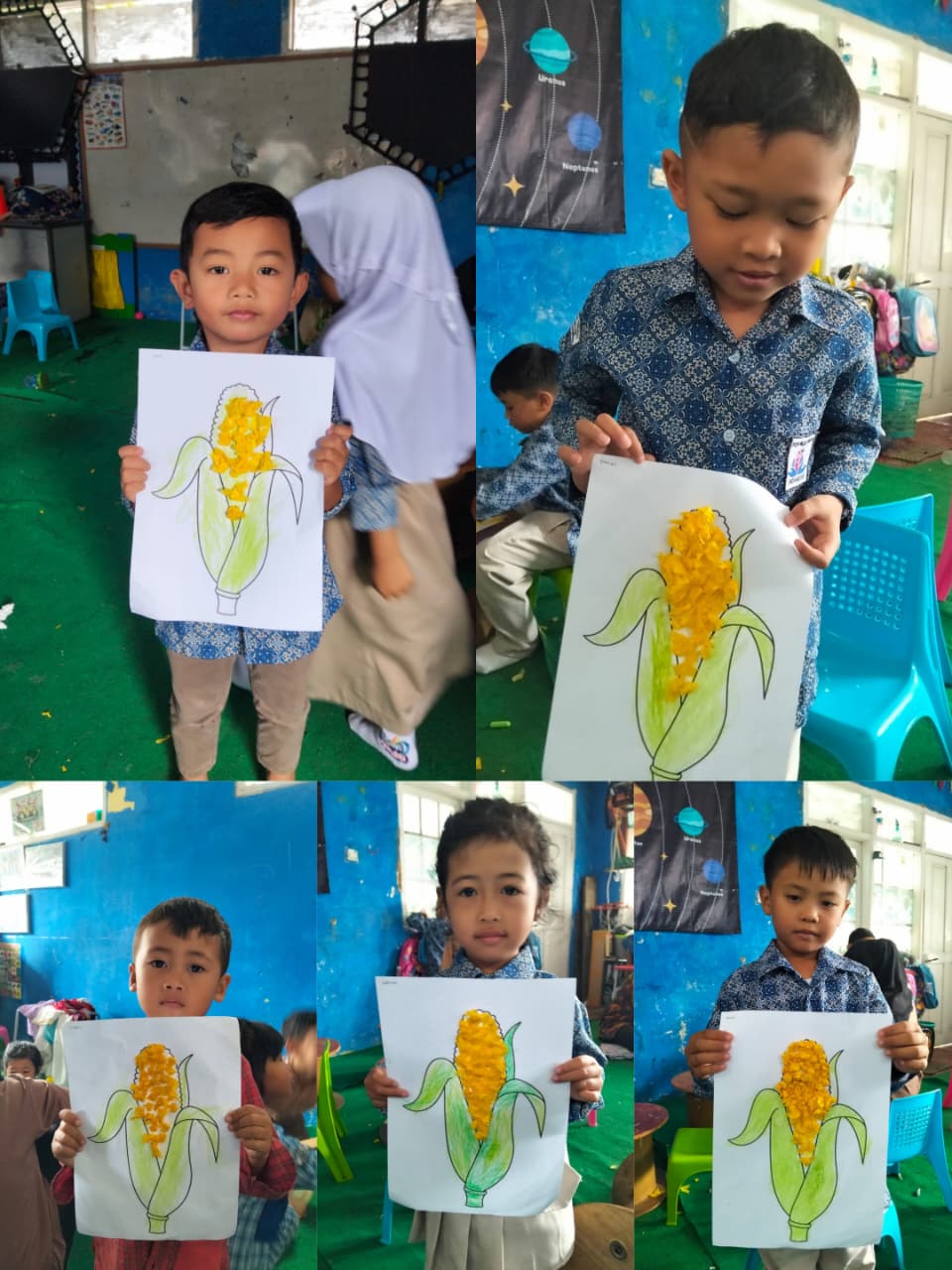 kolase tanaman jagung